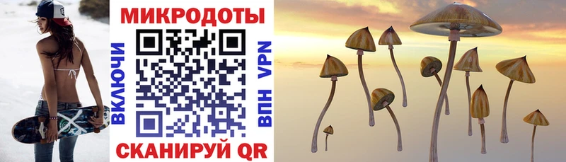 купить закладку  Железногорск  сайты даркнета как зайти  Галлюциногенные грибы Cubensis 